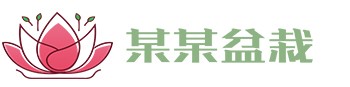 华体会官方端网站登录入口-华体会(中国)